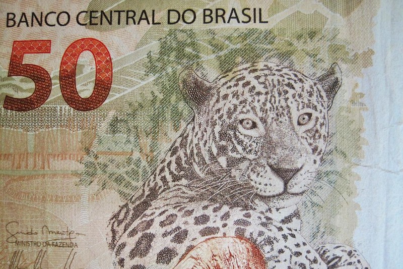 Inscrição no aplicativo meu cadastro único: confira como fazer